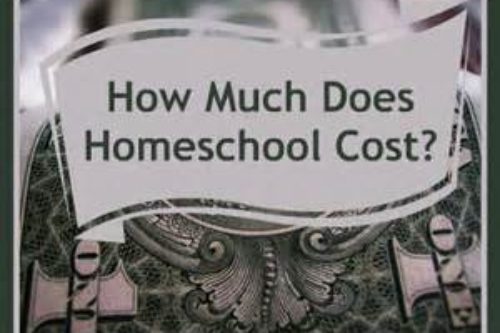 The True Cost of Homeschooling
