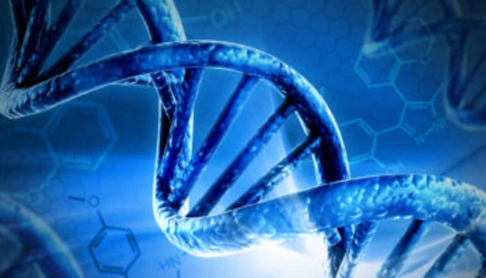 Are We Playing God with our Lifestyle Choices? Altering our DNA
