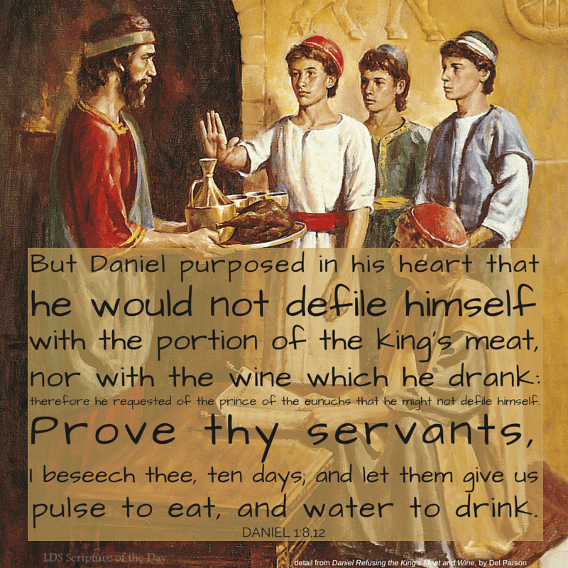 Determined Kindling Dreams